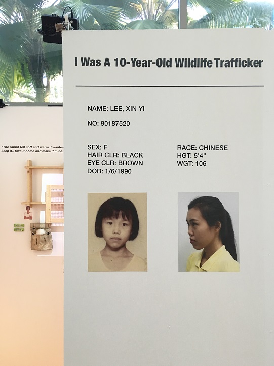 I Was A 10-Year-Old Wildlife Trafficker at NTU ADM Portfolio