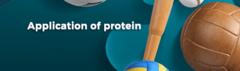 Group 05 Video 2 - Application of protein: Whey protein/protein powder