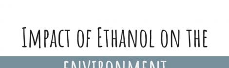 Group 10 Video 2 - Impact of Bio-ethanol