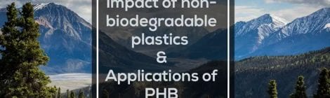 Group 15 Video 2 - Impact of Plastics on Earth and Applications of PHB