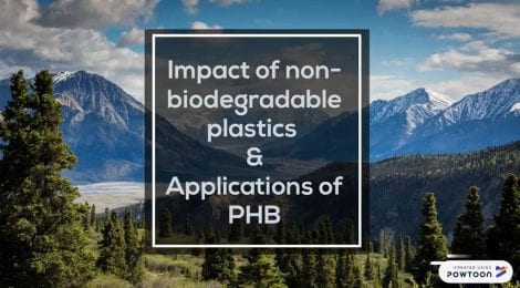 Group 15 Video 2 - Impact of Plastics on Earth and Applications of PHB