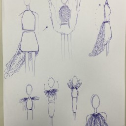 Design Sketches