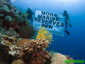 Marine Reserves Banner in Apo Island Marine Reserve. Philippines