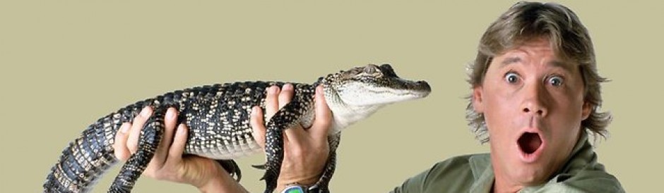 Biography of Steve Irwin, Crocodile Hunter