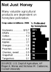 Agricultural products that are dependent on the honey bees.