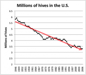 The honey bees colonies has decreased from about 5 million in the 1940s to only 2.5 million in recent years.