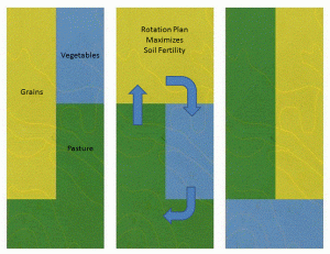 (Image retrieved from: http://www.farmlandlp.com/blog/wp-content/uploads/2010/01/Crop-rotation-diagram.gif )