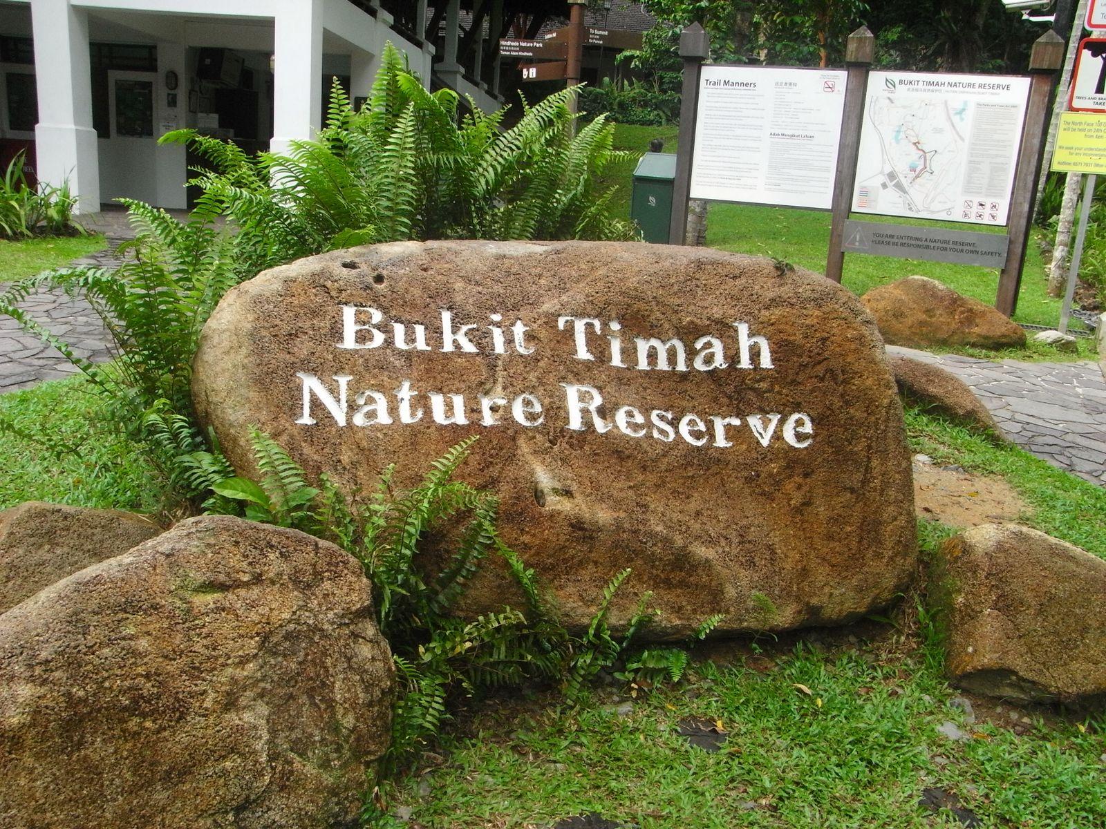 (Source: http://singaporecity360.com/bukit-timah-nature-reserve)