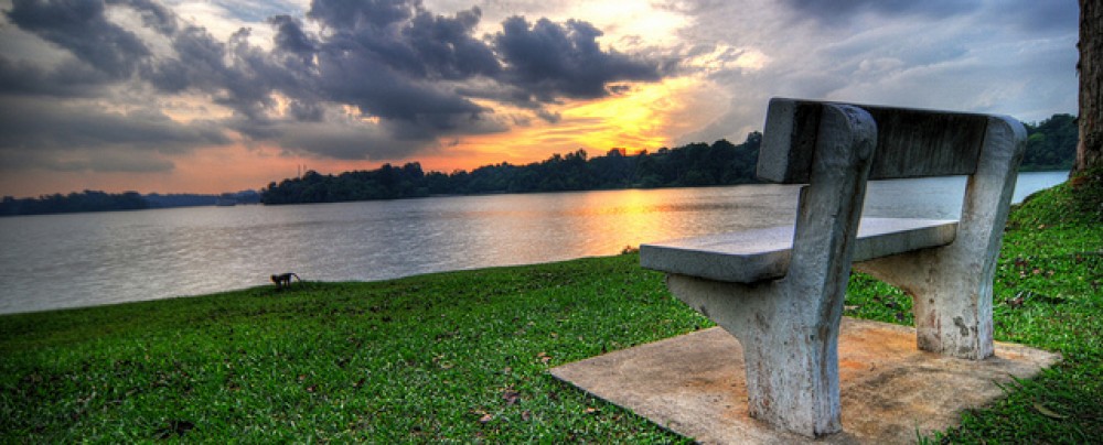 Nature Reserves and the Conservation of Singapore’s Habitats