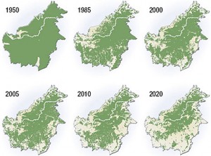 An estimate of the amount of forest land that will be left in Indonesia in the future years 