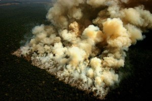 trees-burning-in-the-amazon-deforestation
