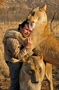 Richardson being hugged and licked by lionesses. Image from: http://www.pinterest.com/pin/555702041490824003/