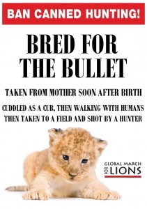 A poster against petting the cubs. Image Source.