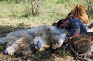 Richardson sleeping with his lions. Image Source.