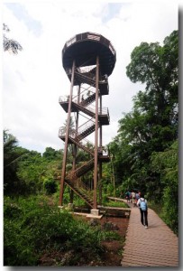 Ubin Viewing Tower