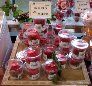 Individually_wrapped_strawberries_japan_wikicommons
