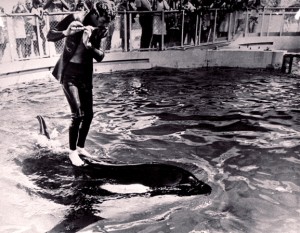 O'Barry with Hugo. Source: Dolphin Project archive