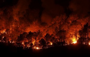 forest-fires-in-andalucia-destroy-12000-hectares-in-summer-2012