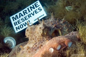 Marine Reserves Campaign