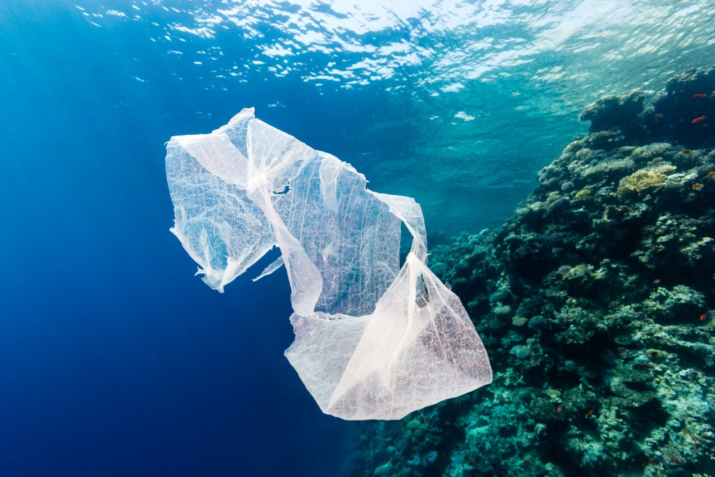 http://conservefewell.org/plastic-bag-bans-feeling-good-about-ourselves-but-are-we-making-a-difference/