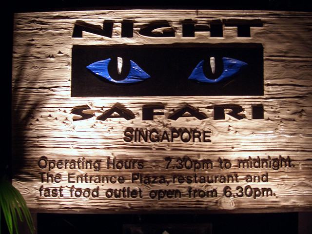 (Nature) Night Safari