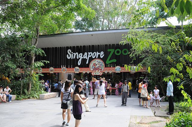 (Nature) Singapore Zoo