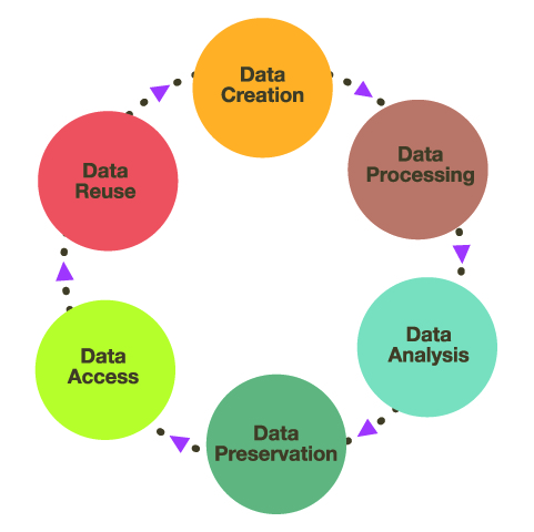 Library Research Data Lifecycle