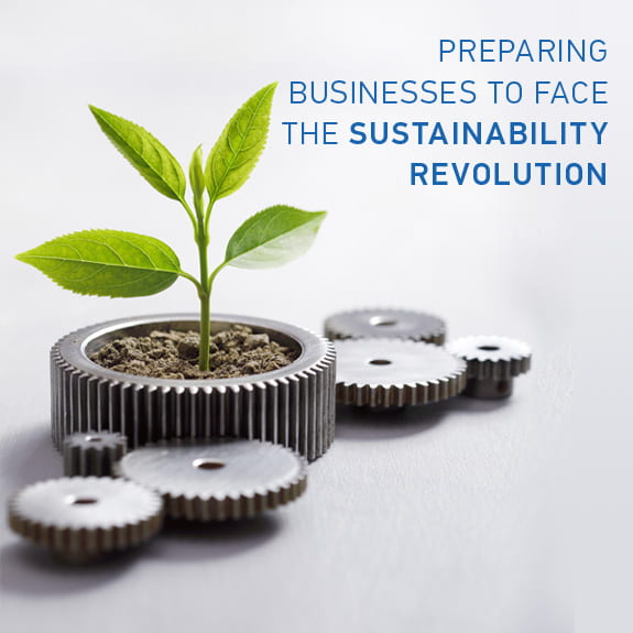 Preparing Businesses to Face the Sustainability Revolution