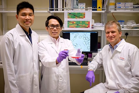 MIT, SMART and NTU scientists have discovered a potential treatment for severe malaria