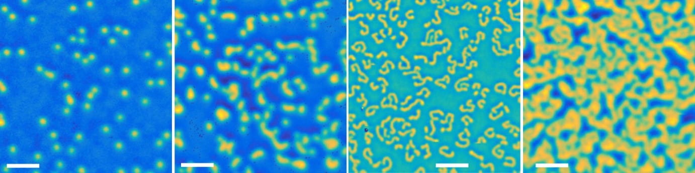 The evolution of skyrmions in Ir/Fe/Co/Pt multilayers and their topological Hall signature