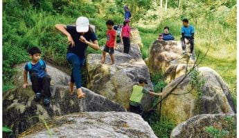More childhood nature experiences could make Singaporeans more tolerant towards local wildlife