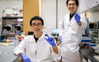 Weird Flex But Okay: Researchers Develop a Superior Piezoelectric Material