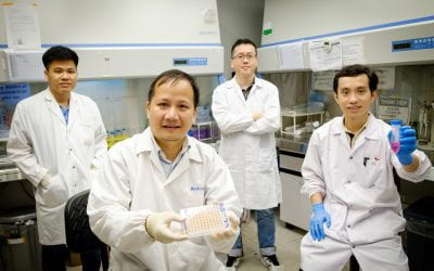 NTU Singapore scientists design compound that targets enzyme linked to autoimmune disorders and severe COVID-19