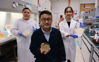 Fighting Obesity With Fermented Soybean Waste