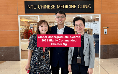 Global Undergraduate Awards 2023 Highly Commended Entrant Feature: Chester Ng