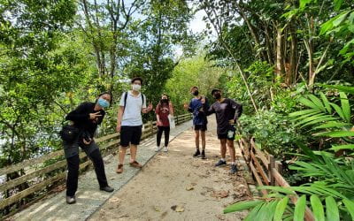 Mangrove Mystery Nature Trail 2021