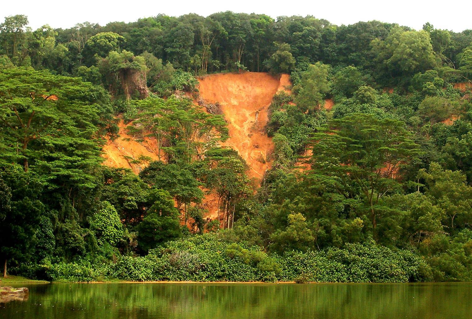 Slope failure at Bukit Batok, Singapore (2006), Rahardjo et al 2007