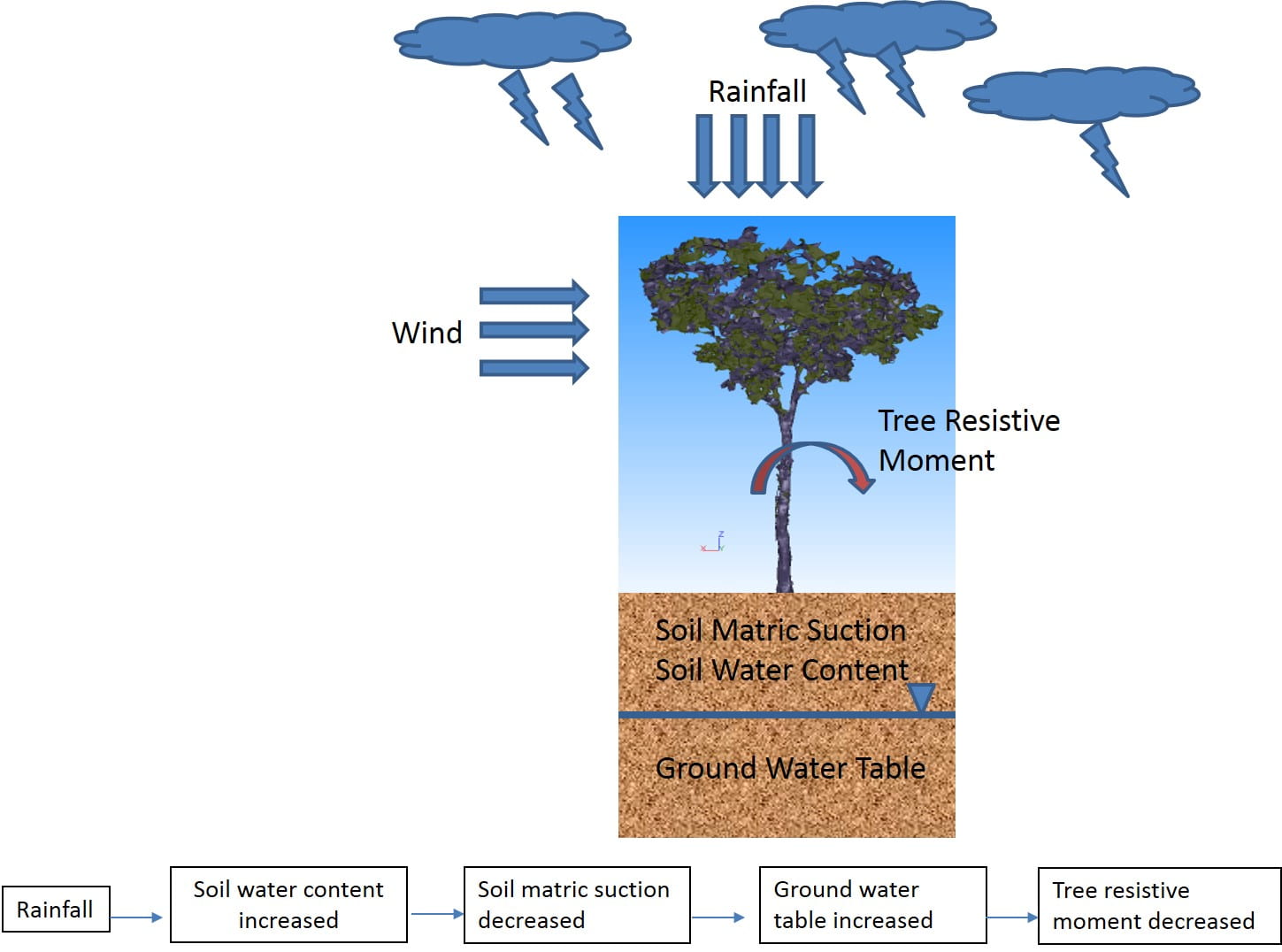 The effect of rainfall on tree stability