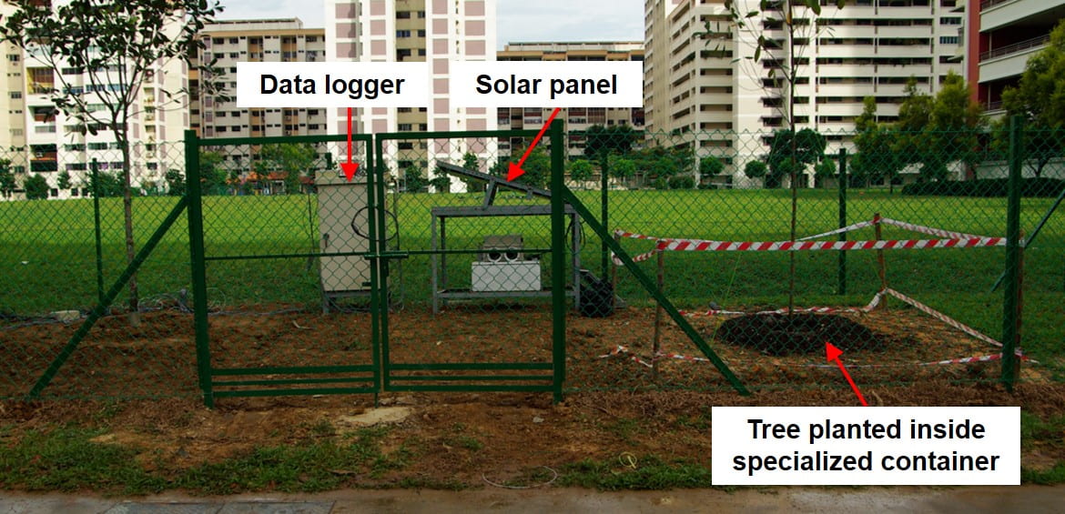 Real time monitoring for assessment of performance of specialized container for tree